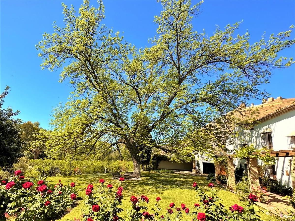 Casa Santa Catalina Villa Алора Екстериор снимка